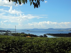 fazenda PR 